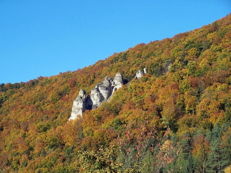 Name:  1713-Der-Teufelsfelsen.JPG
Hits: 1437
Gre:  113,1 KB